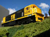 [Image: PICT0667r_small.jpg]