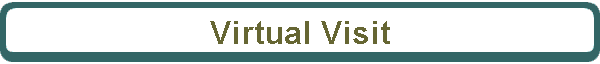 Virtual Visit