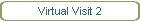 Virtual Visit 2