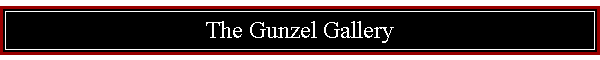 The Gunzel Gallery